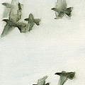 A Flock of Pigeons 2 Watercolor Painting of Birds